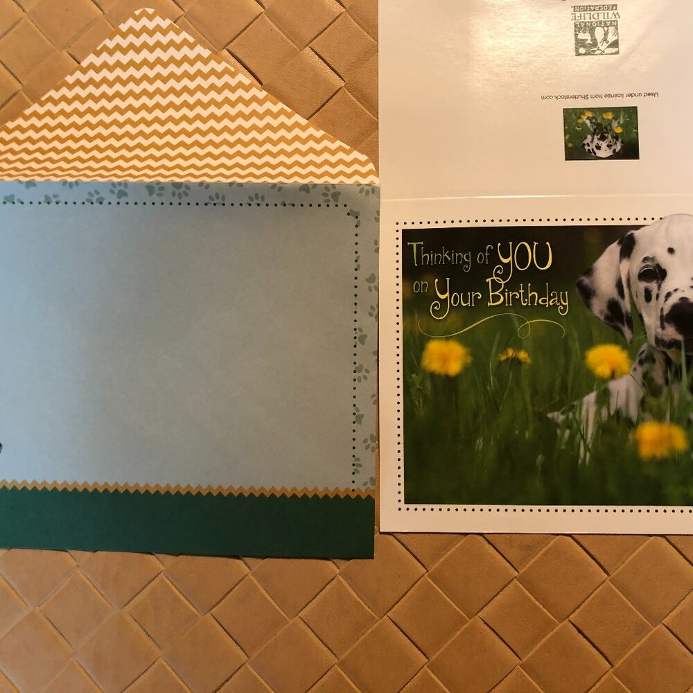 National Wild Life Association Lot of 14 Nature Assorted Cards with Envelopes - Picture 2 of 11